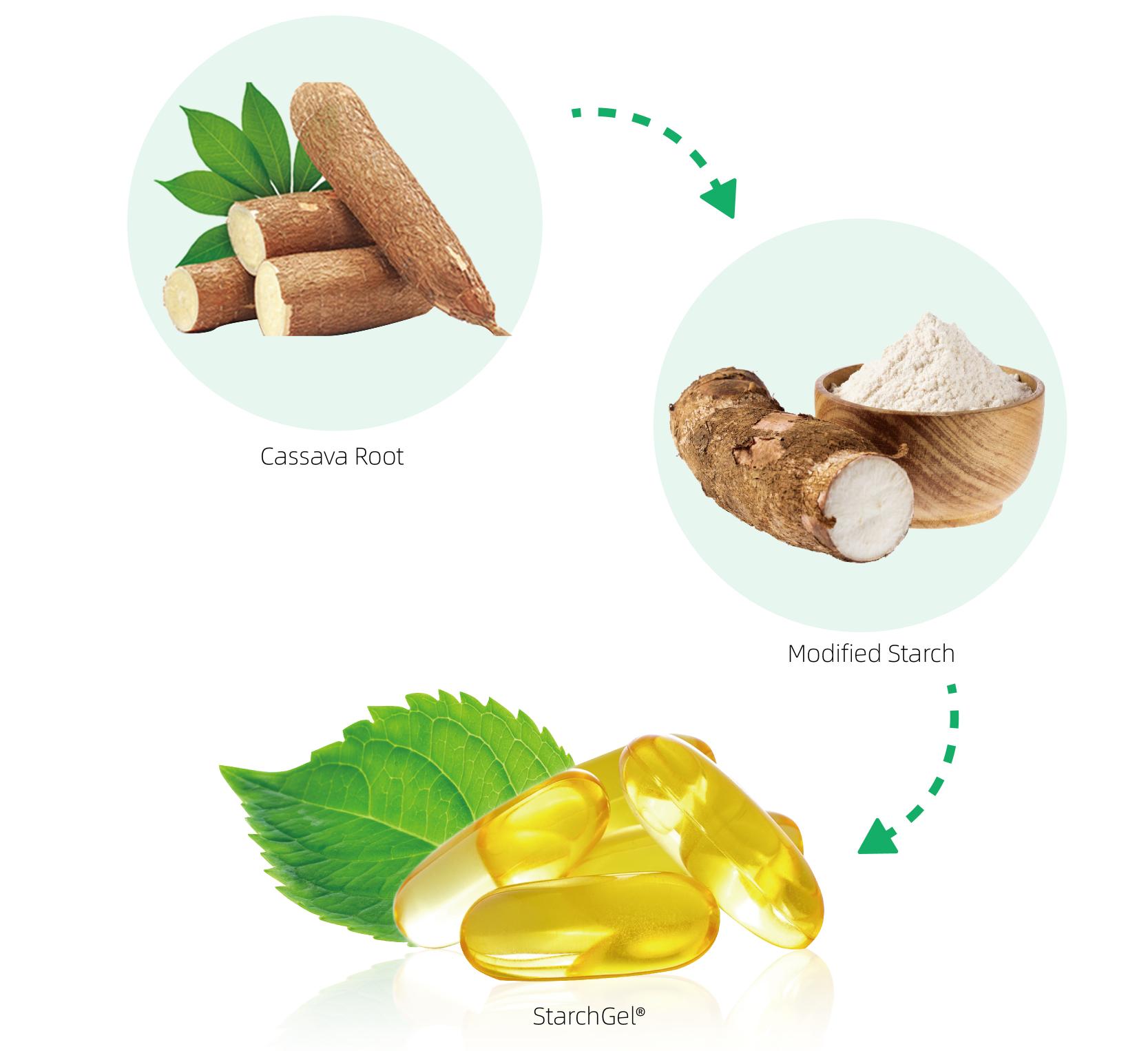 vegan evening primrose oil capsules Unique Features