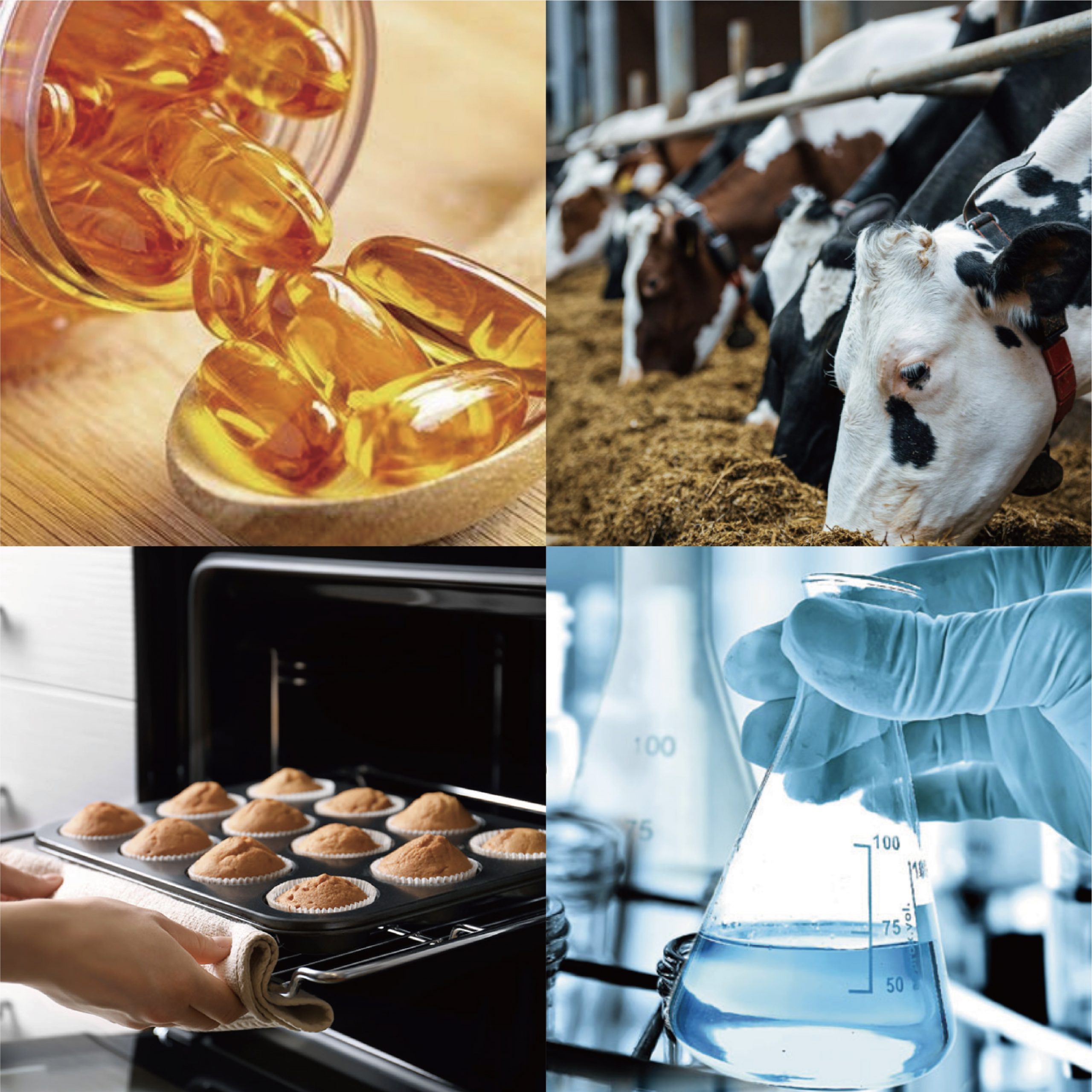 empty vegan capsules Environmental Impact
