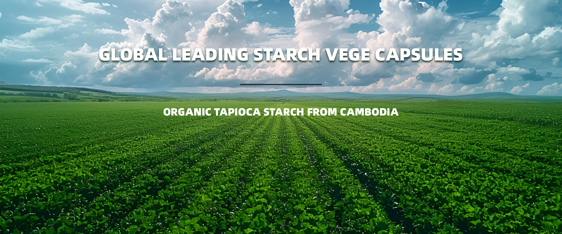  hydroxypropyl starch Innovation 