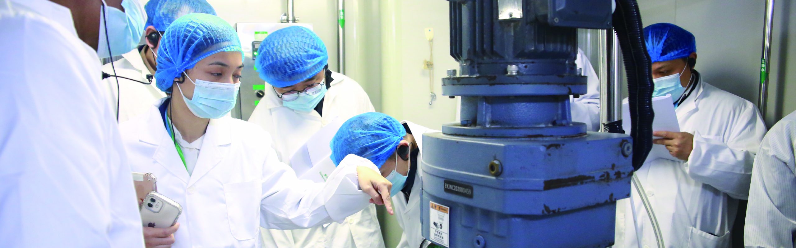 Starch Raw Materials